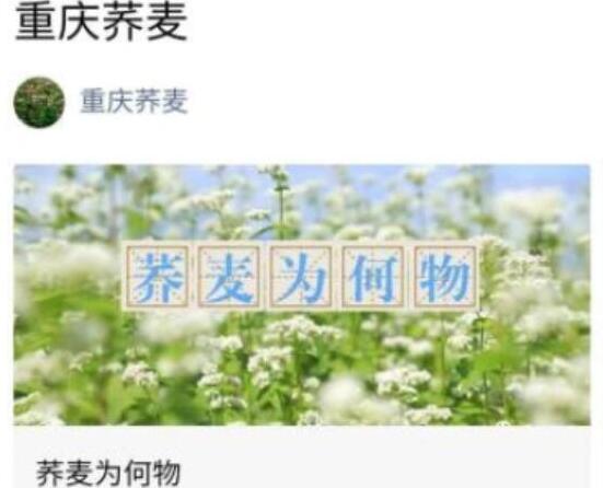 通用的占位符缩略图